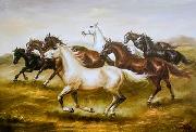unknow artist Horses 04 oil painting on canvas